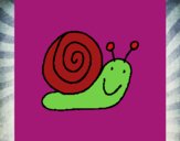 Caracol 4