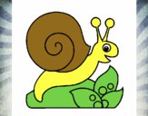 Caracol