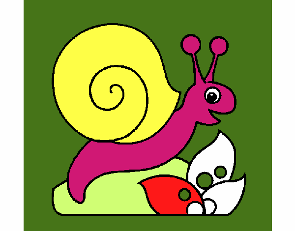 Caracol