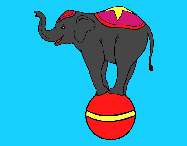 Elefante equilibrista