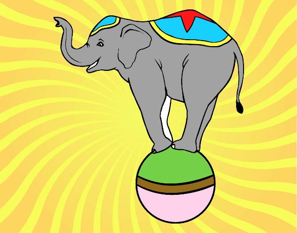 Elefante equilibrista