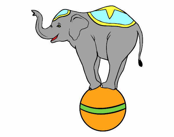 Elefante equilibrista