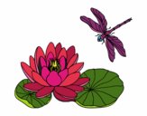 Dibujo Flor de loto pintado por uxueee