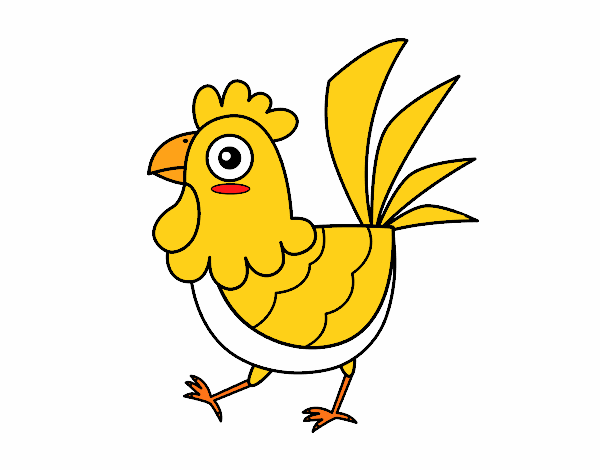 Gallina de granja