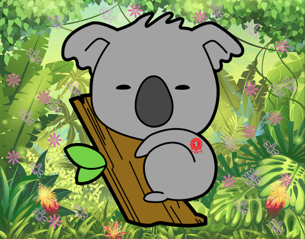 Koala bebé