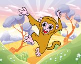 Mono capuchino bebé