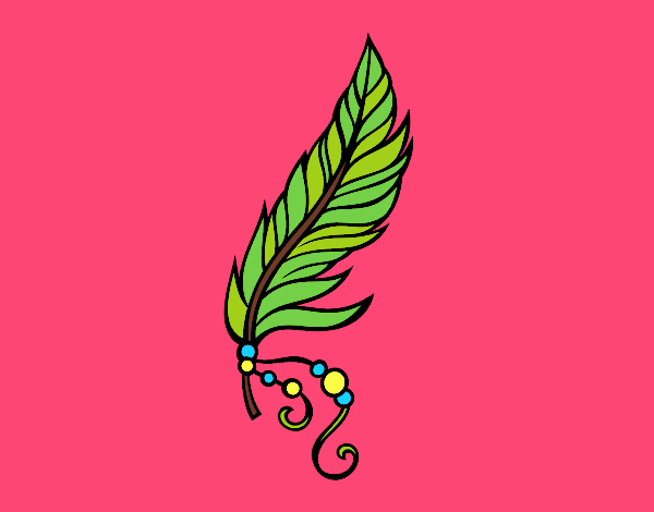 Pluma apache