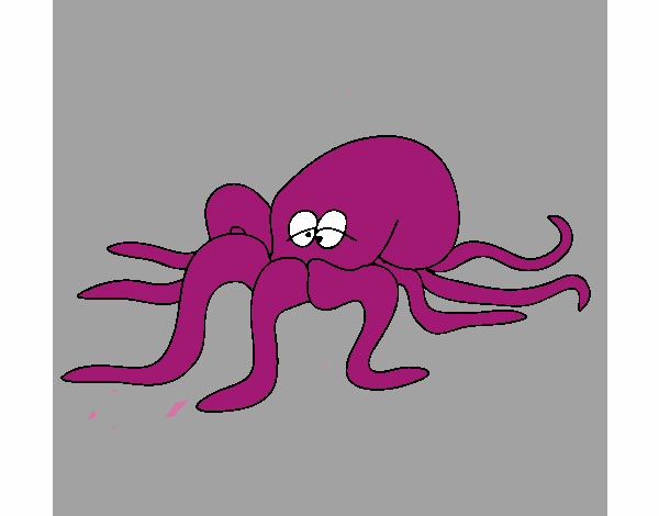 Pulpo