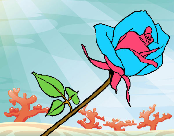 LA ROSA FLOTANTE