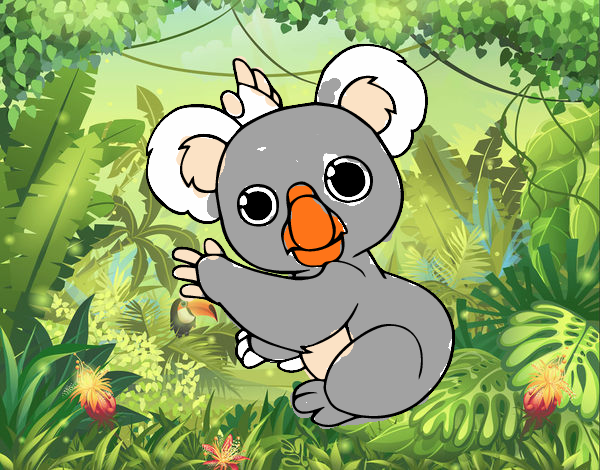 Un Koala