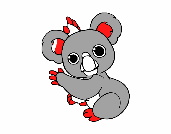 Un Koala