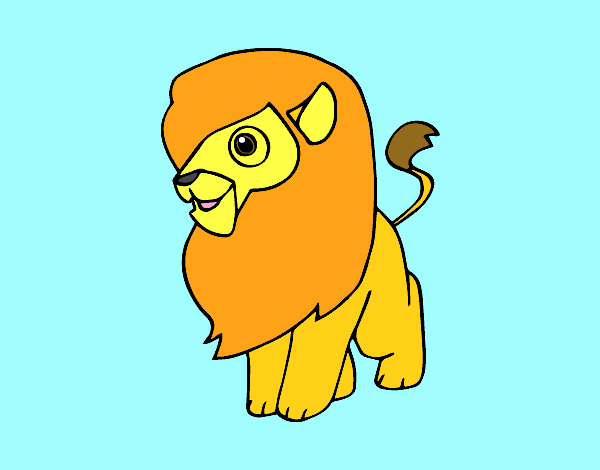 Un león