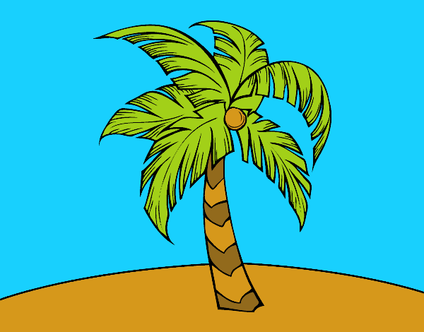Dibujo Una palmera pintado por Yeric12