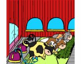 Vacas en el establo