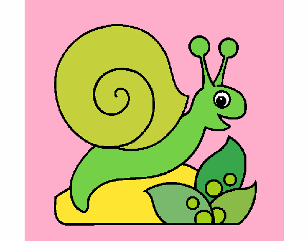 Caracol