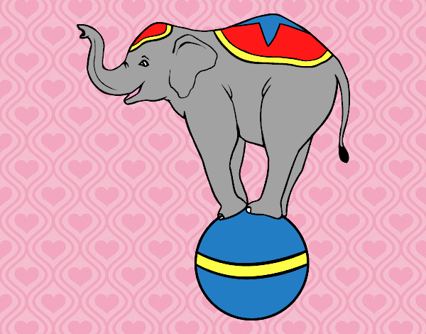 Elefante equilibrista