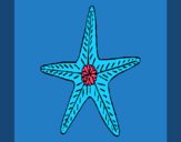 Estrella de mar