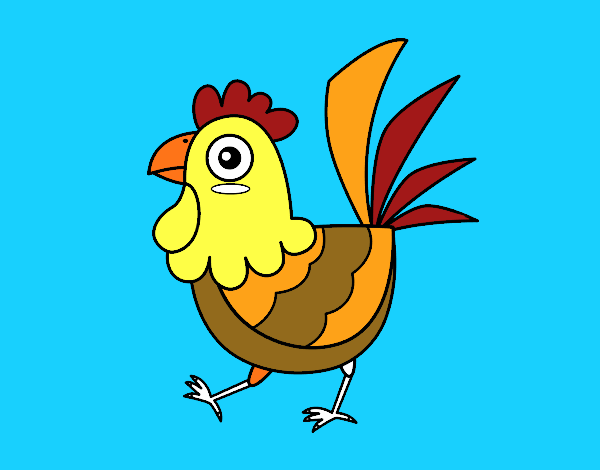 Gallina de granja