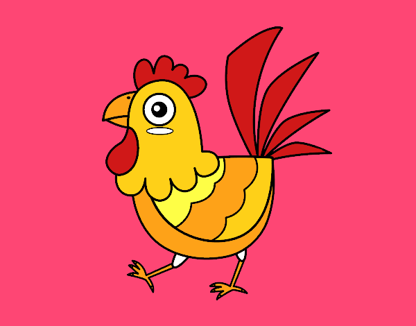 Gallina de granja