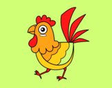 Gallina de granja