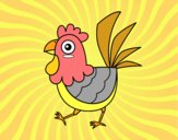 Gallina de granja