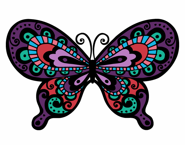 Mariposa bonita