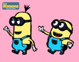 Minions - Tom y Dave