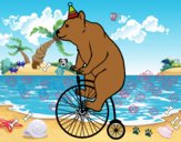 Oso en bicicleta