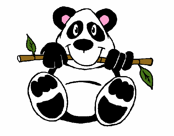 Oso panda