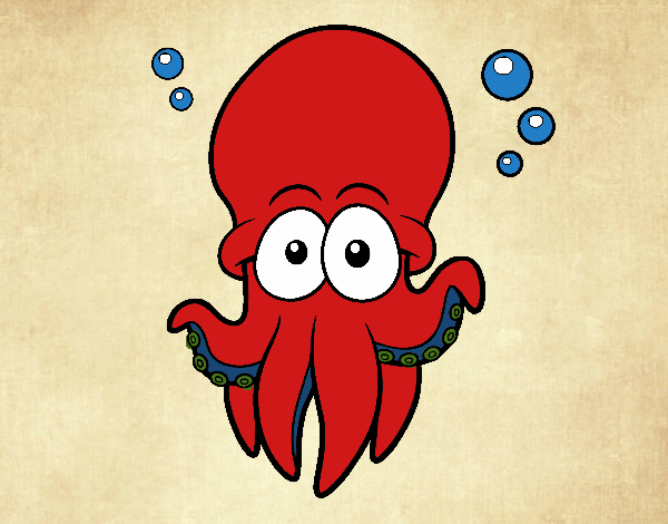 Pulpo rojo