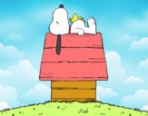 Snoopy durmiendo