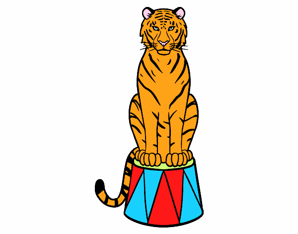 Tigre de circo