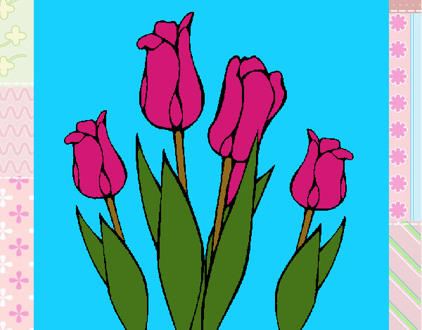 Tulipanes