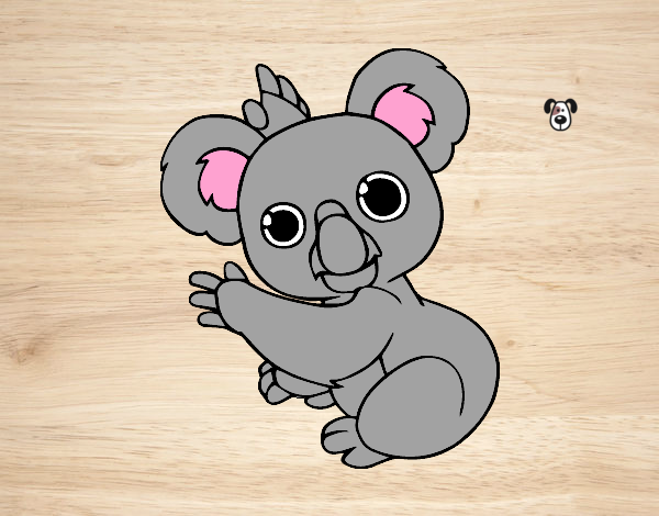 Un Koala