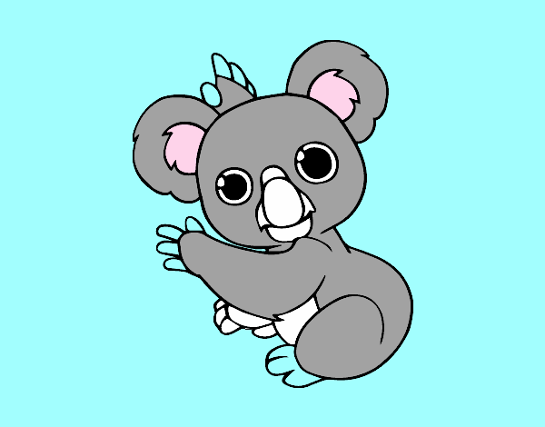 Un Koala