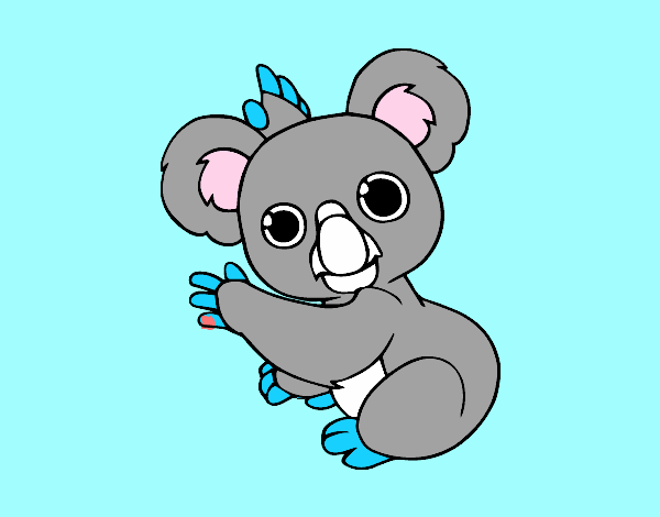 Un Koala