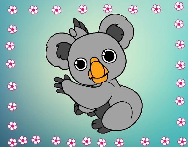 Un Koala