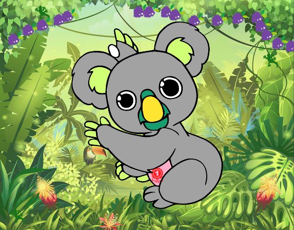 Un Koala