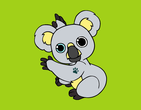 Un Koala