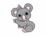 Un Koala