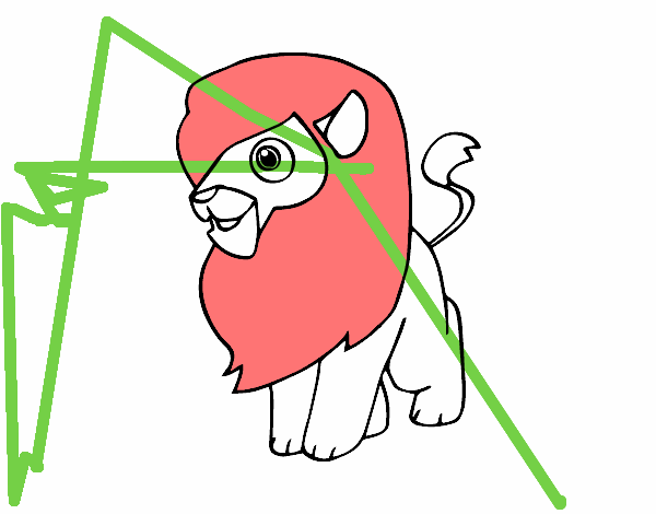 Un león