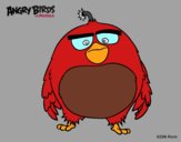 Dibujo Bomb de Angry Birds pintado por Guilletrs