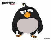 Dibujo Bomb de Angry Birds pintado por meagan