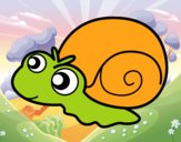 Caracol bebé