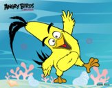 Dibujo Chuck de Angry Birds pintado por nooe9