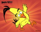 Chuck de Angry Birds