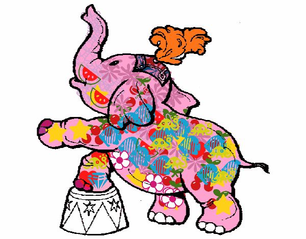 Elefante