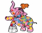 Elefante