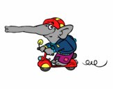 Elefante en moto