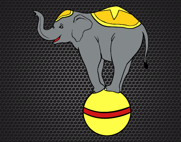 Elefante equilibrista